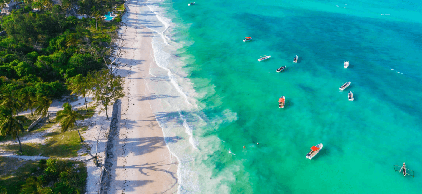 Zanzibar beach Tanzania